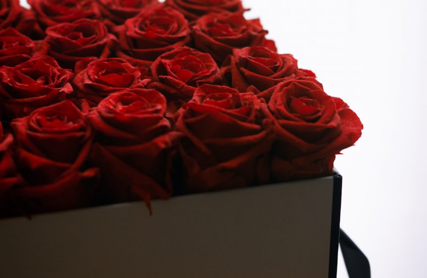 Red Roses